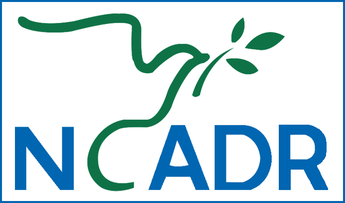 ncadr.tsu.ge